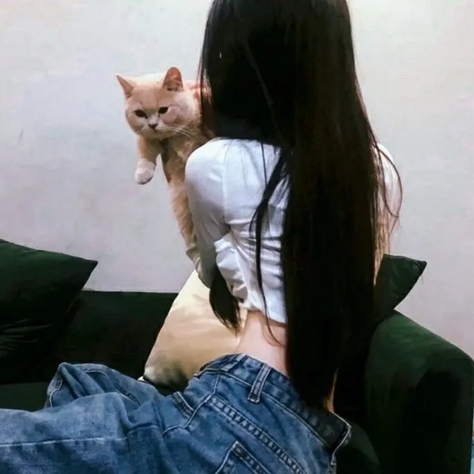 为黛茜小姐开车